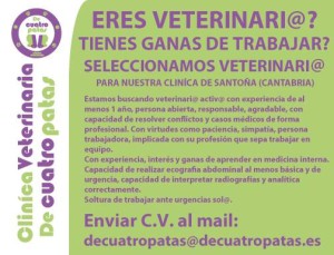 Veterinario Santoña