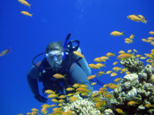 buceo