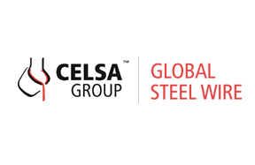 Global Steel Wire