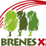 Brenes XXI S.L.