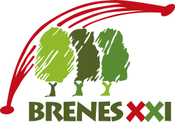 Grupo Brenes XXI