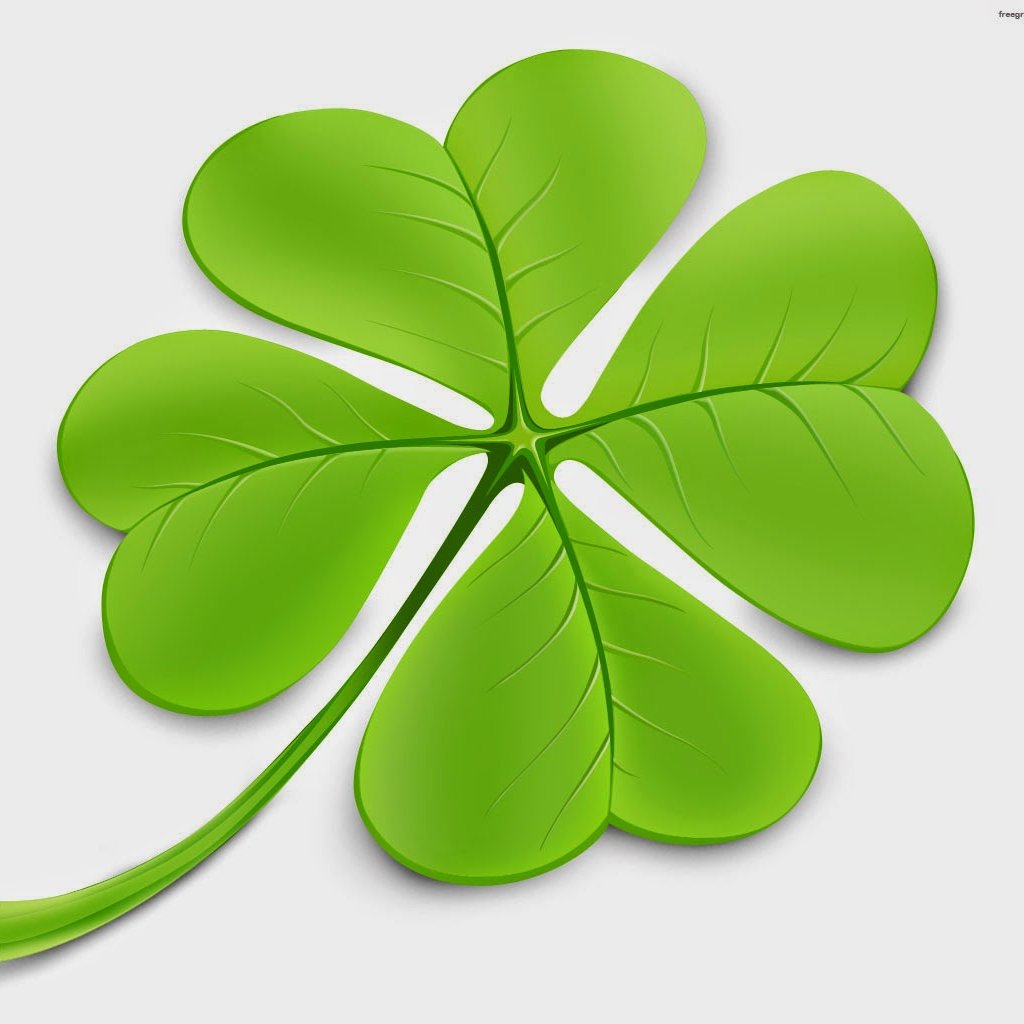 Clover Educación