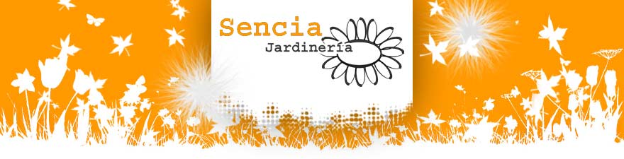 Sencia