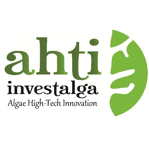 Investalga Ahti S.L.