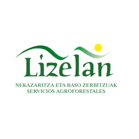 Lizelan
