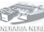 Grupo Nereo