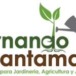 Fernando Santamaría