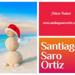 www.santiagosaroortiz.com
