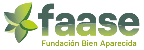 FUNDACION DE LA BIEN APARECIDA