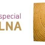 CENTRO ESPECIAL BUELNA-FORMACION