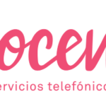 VOCEM SERVICIOS EMPRESARIALES SL