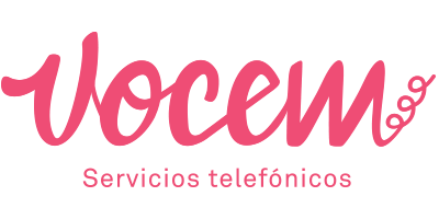 VOCEM SERVICIOS EMPRESARIALES SL